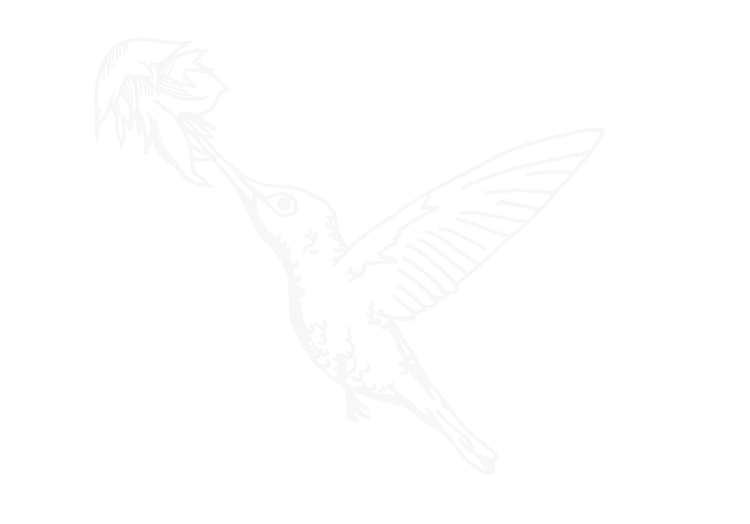 Castellano ink bird logo